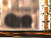 SurveyImage_07_02.png