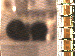 SurveyImage_07_03.png