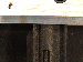 SurveyImage_07_06.png