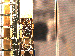 SurveyImage_08_03.png
