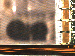 SurveyImage_09_02.png