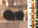 SurveyImage_09_03.png
