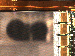 SurveyImage_09_04.png