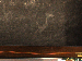 SurveyImage_09_05.png