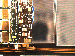 SurveyImage_10_02.png