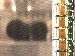 SurveyImage_11_03.png
