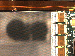 SurveyImage_11_04.png