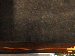SurveyImage_11_05.png