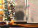 SurveyImage_12_02.png