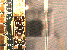 SurveyImage_12_03.png