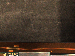 SurveyImage_12_05.png