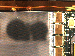 SurveyImage_13_04.png