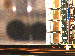 SurveyImage_17_02.png