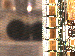 SurveyImage_19_03.png
