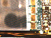SurveyImage_23_02.png