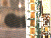 SurveyImage_23_03.png