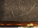 SurveyImage_23_05.png