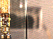 SurveyImage_24_03.png