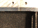 SurveyImage_24_06.png