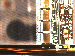 SurveyImage_25_02.png