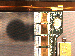 SurveyImage_25_04.png