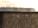 SurveyImage_29_06.png