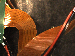 SurveyImage_01_04.png