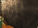 SurveyImage_01_05.png