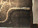 SurveyImage_02_02.png