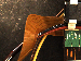 SurveyImage_02_05.png