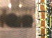 SurveyImage_11_03.png