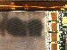 SurveyImage_11_04.png