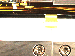 SurveyImage_12_01.png