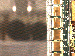 SurveyImage_15_03.png