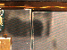 SurveyImage_24_04.png