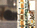SurveyImage_25_03.png