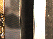 SurveyImage_30_03.png