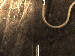 SurveyImage_01_03.png