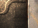 SurveyImage_02_03.png