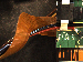 SurveyImage_02_05.png