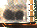 SurveyImage_03_02.png