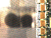 SurveyImage_03_03.png