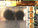 SurveyImage_03_04.png