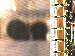 SurveyImage_05_03.png