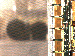 SurveyImage_07_03.png