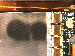 SurveyImage_07_04.png