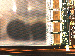 SurveyImage_09_02.png