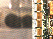 SurveyImage_09_03.png