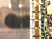 SurveyImage_11_03.png