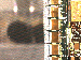 SurveyImage_13_03.png
